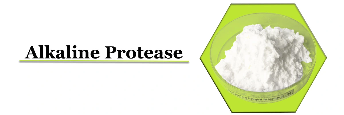 Alkaline Protease Powder.jpg